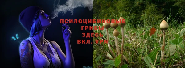 меф VHQ Куйбышев